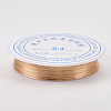 Round Copper Jewelry Wire X-CWIR-Q006-0.2mm-KC-3