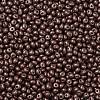 6/0 Glass Seed Beads X1-SEED-L011-08A-08-3
