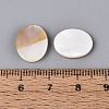 Natural Freshwater Shell Cabochons SHEL-S276-134A-01-1-3