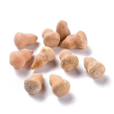 Natural Picture Jasper Beads G-M379-22-1