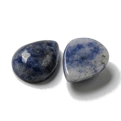 Natural Blue Spot Jasper Cabochons G-Q173-02C-18-1