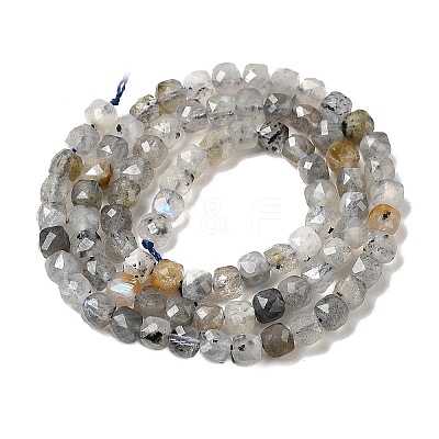 Natural Labradorite Beads Strands G-D358-A01-1
