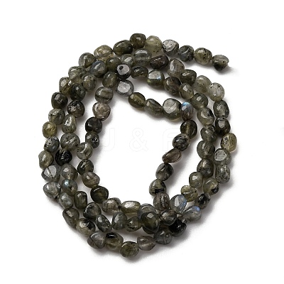 Natural Labradorite Beads Strands G-I389-A35-01A-1