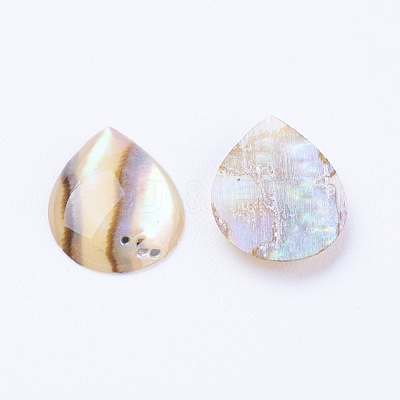 Natural Paua Shell Cabochons SSHEL-F301-26-1