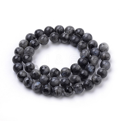 Natural Larvikite Beads Strands X-G-S259-06-8mm-1