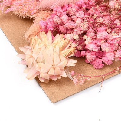 Dried Flower DIY-B018-12-1