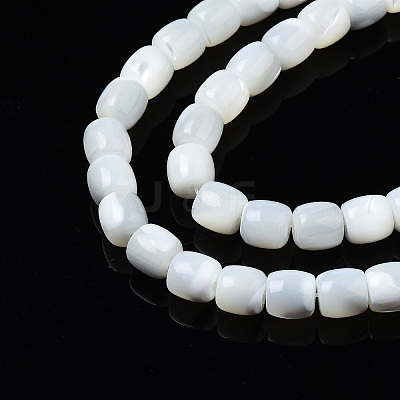 Natural Trochid Shell/Trochus Shell Beads Strands X-SSHEL-N034-121-B01-1