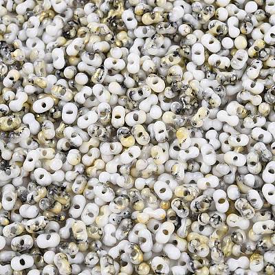 Two Tone Baking Paint Glass Seed Beads SEED-C003-01P-1