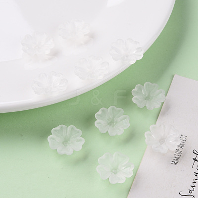 Transparent Frosted Acrylic Bead Caps MACR-S371-04A-701-1
