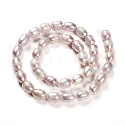 Natural Cultured Freshwater Pearl Beads Strands PEAR-R064-16-1