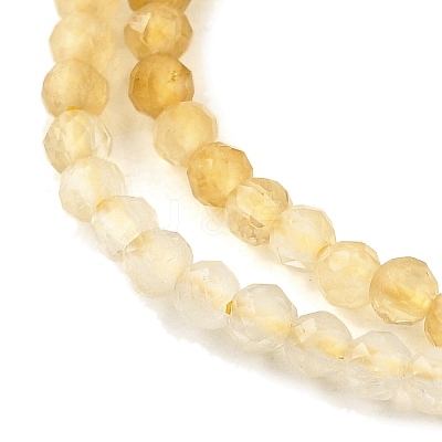 Natural Citrine(Heated) Beads Strands G-G259-D03-2mm-1