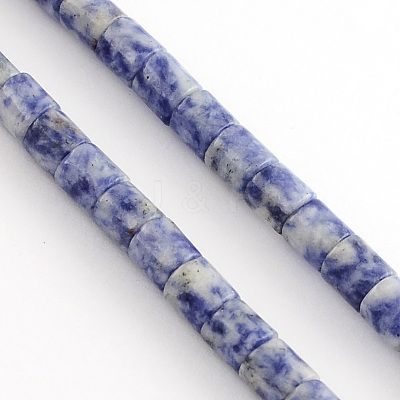 Natural Blue Spot Jasper Bead Strands G-R187-06-1