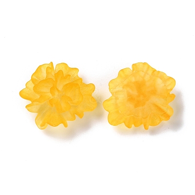 Transparent Resin Cabochons RESI-G027-01C-1