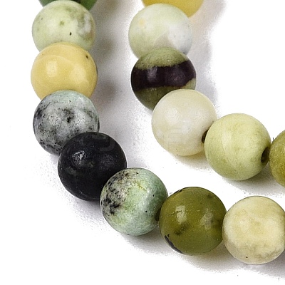 Natural Serpentine Beads Strands G-Q616-07A-1