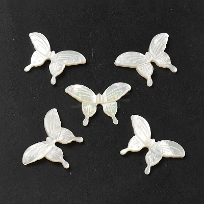 Natural White Shell Beads SHEL-M021-09B-1