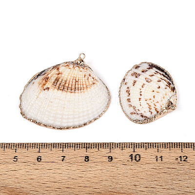 Electroplate Sea Shell Pendants SSHEL-T006-04-1