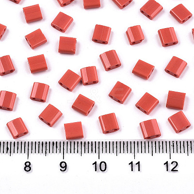 FGB 2-Hole Glass Seed Beads SEED-S031-L-ST45-1