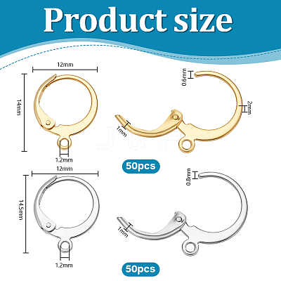 100Pcs 2 Styles 304 Stainless Steel Leverback Earring Findings STAS-PH0007-17-1