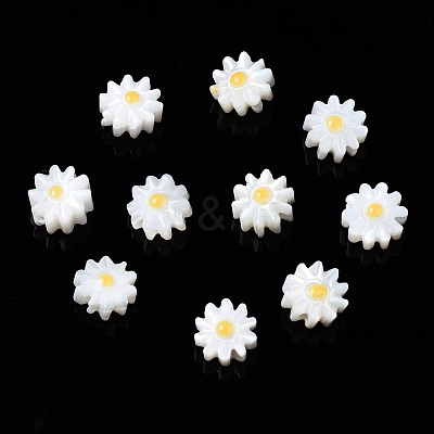 Natural Freshwater Shell Beads SHEL-N003-20A-01-1