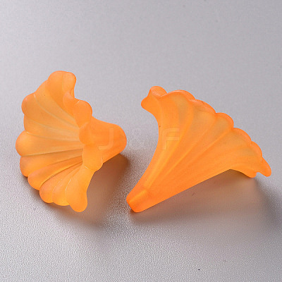 Transparent Acrylic Beads BSF796-C19-1