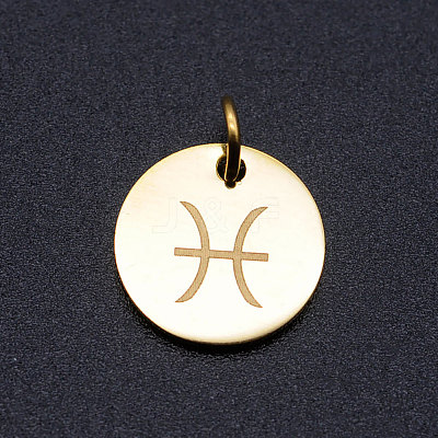 201 Stainless Steel Charms STAS-T049-T644-12G-1