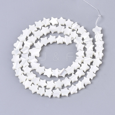 Natural Trochid Shell/Trochus Shell Bead Strands SSHEL-N034-68A-1