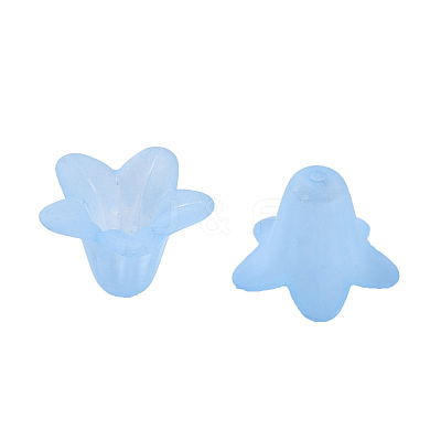 Transparent Acrylic Beads PLF018-06-1