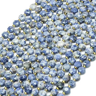 Natural Blue Spot Jasper Beads Strands G-C116-A73-02-1