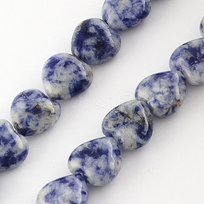 Natural Blue Spot Jasper Bead Strands G-R190-04-1