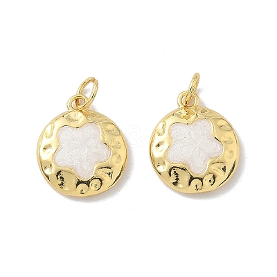 Brass Enamel Charms KK-P325-29G-1