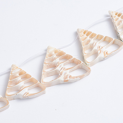 Natural Trochid Shell/Trochus Shell Beads Strands SSHEL-L016-16-1