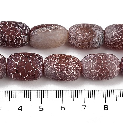 Natural Weathered Agate Beads Strands G-NH0047-B02-02-1