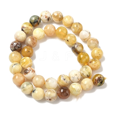 Natural Yellow Opal Beads Strands LS-G-I213-18-10mm-1