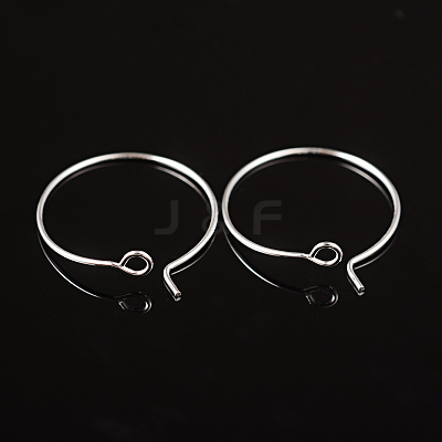 Silver Color Plated Brass Earring Hoops X-EC067-1S-1
