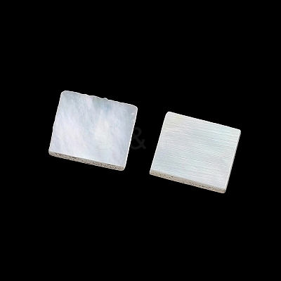 White Shell Cabochons SSHEL-I007-11-1