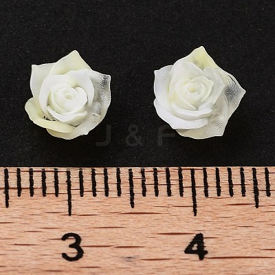 Luminous Resin Decoden Cabochons RESI-K036-45-1
