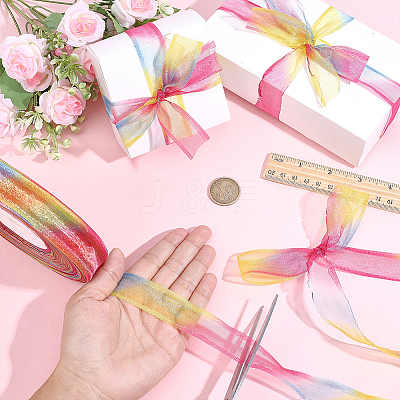 Organza Ribbon ORIB-HY0001-01-1