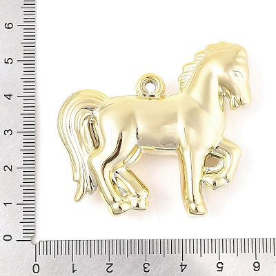 Plating Acrylic Big Pendants PACR-Z001-01G-1