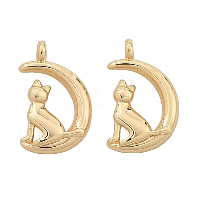 304 Stainless Steel Charms SA-CBA7611-01G-1