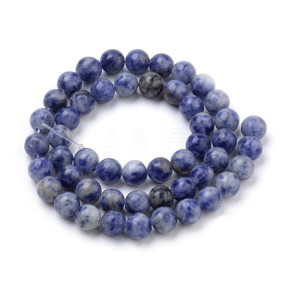 Natural Brazil Blue Spot Jasper Beads Strands G-S259-36-6mm-1