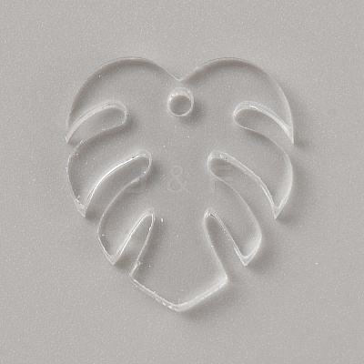 Acrylic Pendants TACR-WH0025-04B-1