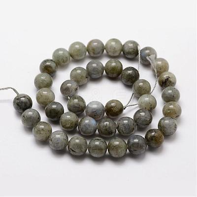 Natural Labradorite Bead Strands G-O155-05B-8mm-1