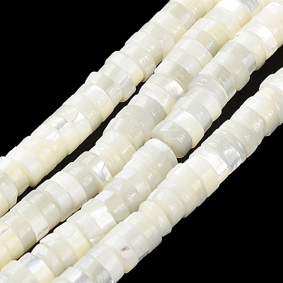 Natural Trochus Shell Beads Strands BSHE-E030-09A-01-1