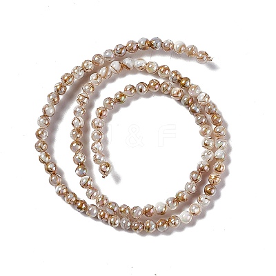 Drawbench Style Natural Freshwater Shell Beads Strands SHEL-F003-10A-1