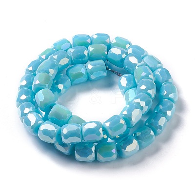 Electroplate Opaque Glass Beads GLAA-F108-10B-04-1