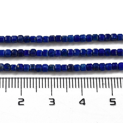 Natural Lapis Lazuli Dyed Beads Strands G-G140-C02-02-1