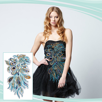 Phoenix Tail Pattern Polyester Lace with PVC Embroidered Fabric SENE-WH0003-38-1