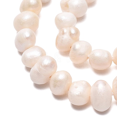 Natural Cultured Freshwater Pearl Beads Strands PEAR-N013-04E-01-1
