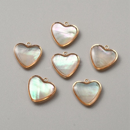 Natural Shell Pendants BSHE-TAC0001-02B-1