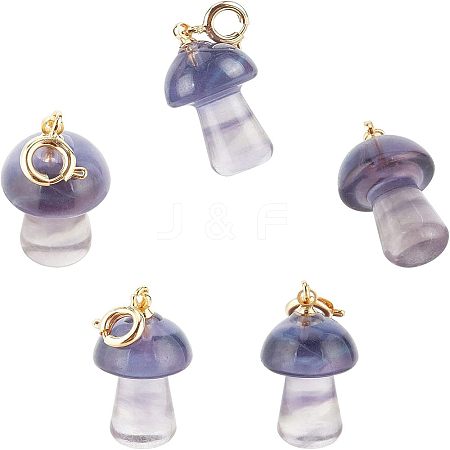  Carved Natural Fluorite Pendants G-NB0002-22-1